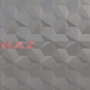 Фасадные кассеты Ракушки